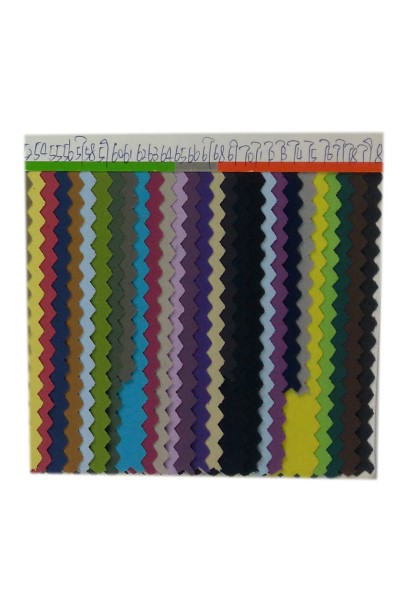 GZ-FGSG  8667#  100％尼龍  他仕倫   後面照